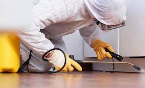 Best Pest Prevention Services  in Essex, MD